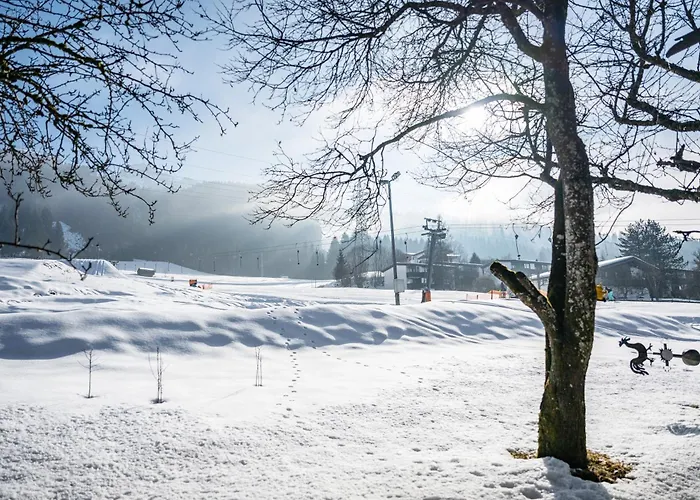 Alpen Kitzbuehel エープス